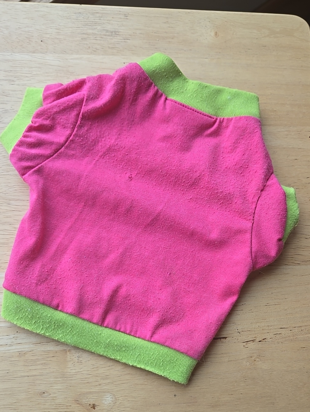 Neon Hot Pink Lime Green Pet Tee Y2k Retro As Is Dog Cat pet t-shirt sweater